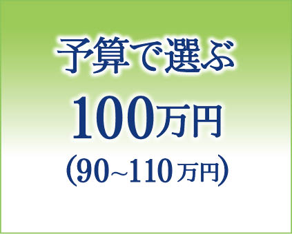 予算で選ぶ100万円